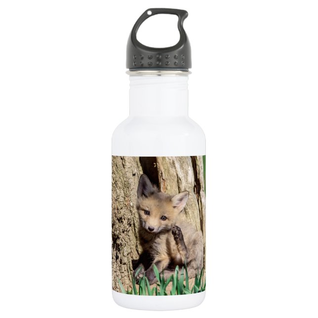 Fox Kit in the Hudson Valley Stainless Steel Water Bottle (Front)
