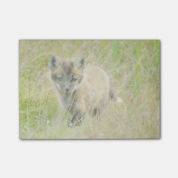 Fox Kit Post-it® Notes 4 X 3 by OrcaWatcher at Zazzle