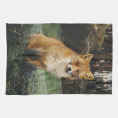 fox kitchen towel, foxy tea towel, fox cub home de kitchen towel (Horizontal)