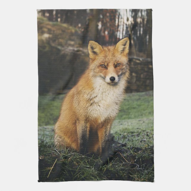 fox kitchen towel, foxy tea towel, fox cub home de kitchen towel (Vertical)