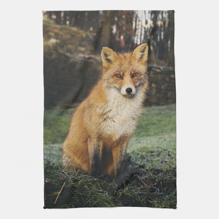 fox kitchen towels