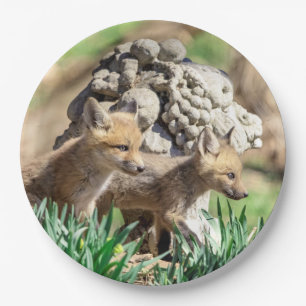 Fox Kits in the Hudson Valley Paper Plates