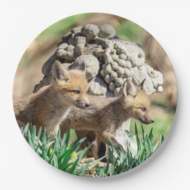 Fox Kits in the Hudson Valley Paper Plates (Front)