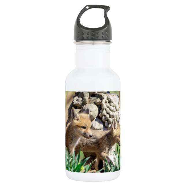 Fox Kits in the Hudson Valley Stainless Steel Water Bottle (Front)