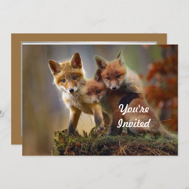 Fox Kits Photo Birthday Invitation (Front/Back)
