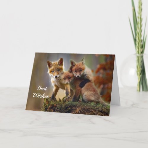 Fox Kits Photo Congratulations Wedding Card