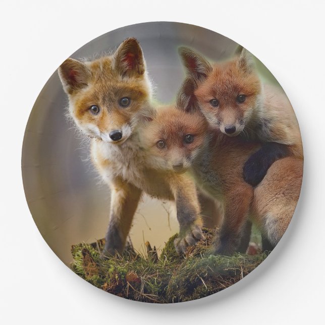 Fox Kits Photo Paper Plates (Front)
