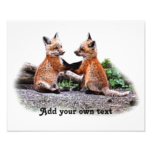 Fox Kits Photo Print