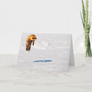 Fox Leap Yukon, Canada Card