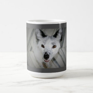 Fox Mug - Boris