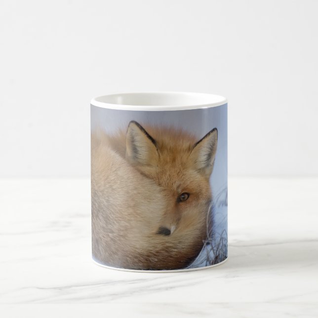 Fox mug, foxy mug, foxes, nature, wildlife coffee mug (Center)