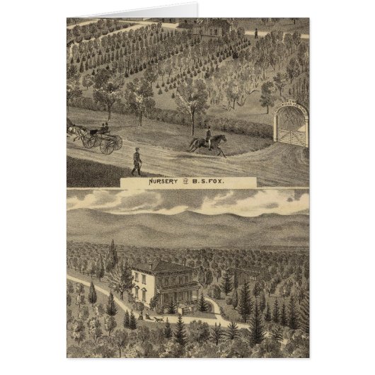 Fox nursery, res, orchard cards (Front)