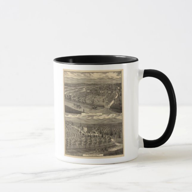 Fox nursery, res, orchard mug (Right)