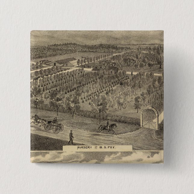 Fox nursery, res, orchard pinback button (Front)