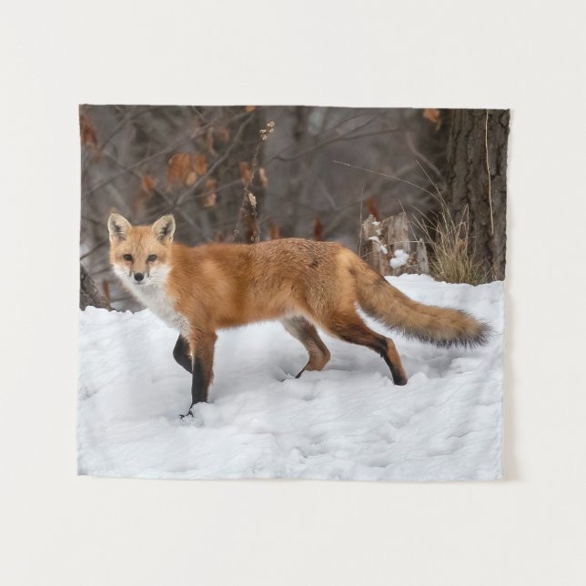  Fox On Snow      Tapestry (Front (Horizontal))