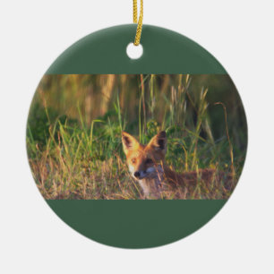 Fox Photo Ornament 