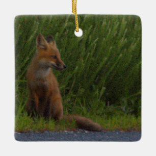 Fox Photo Ornament