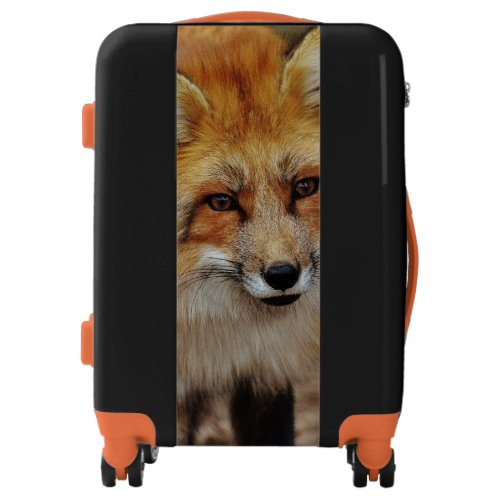 Fox Portrait Luggage