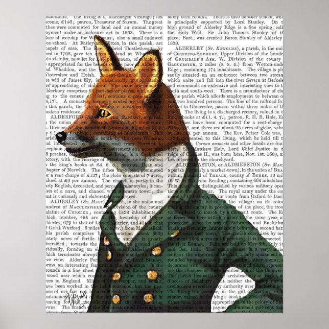 Fox Portrait Poster (Front)