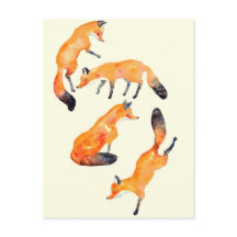 fox