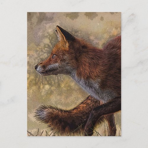 fox  postcard