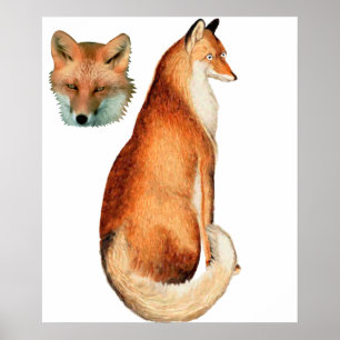 Fox poster