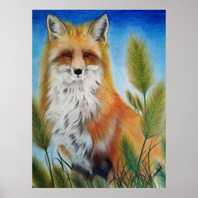 Fox Poster (Front)