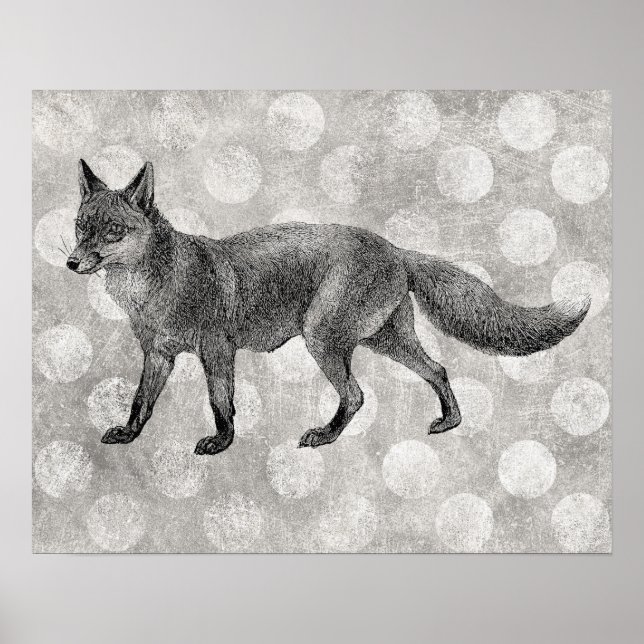 Fox Poster - Vintage Illustration Print (Front)