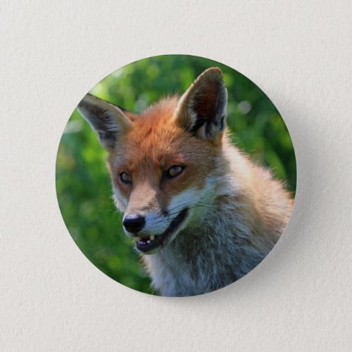 fox red beautiful photo portrait button pin