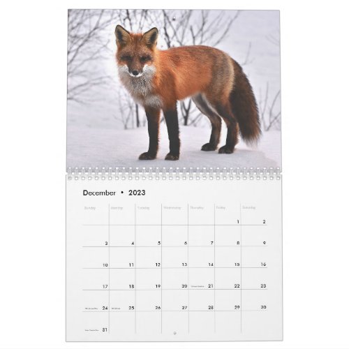 Fox Red Fox Clever Animals Wildlife  Calendar