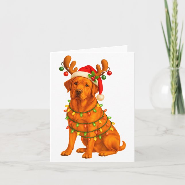 Fox Red Lab Christmas Tree Light Pajama Labrador D Card (Front)