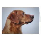 Fox Red Labrador Gundog (Front Horizontal)