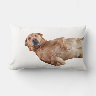 Fox red Labrador pillow