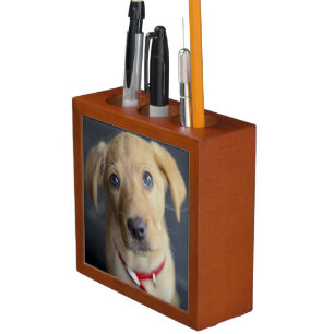 Fox Red Labrador Puppy Desk Organizer