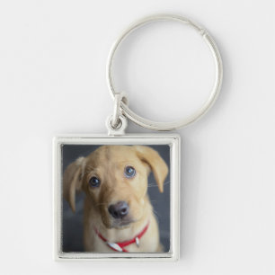 Fox Red Labrador Puppy Keychain