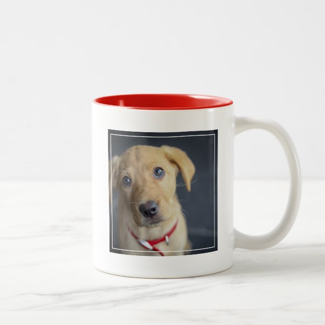 Fox Red Labrador Puppy Two-Tone Coffee Mug (Right)