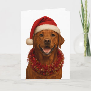 Fox red Labrador Retriever Christmas card