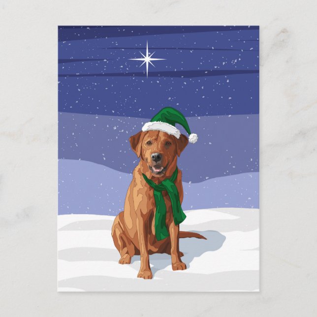 Fox Red Labrador Retriever Christmas Dog Postcard (Front)
