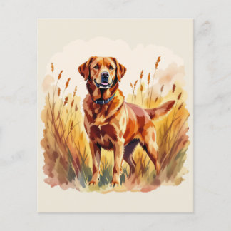 Fox Red Labrador Retriever Dog