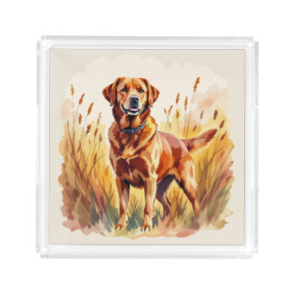 Fox Red Labrador Retriever Dog Acrylic Tray