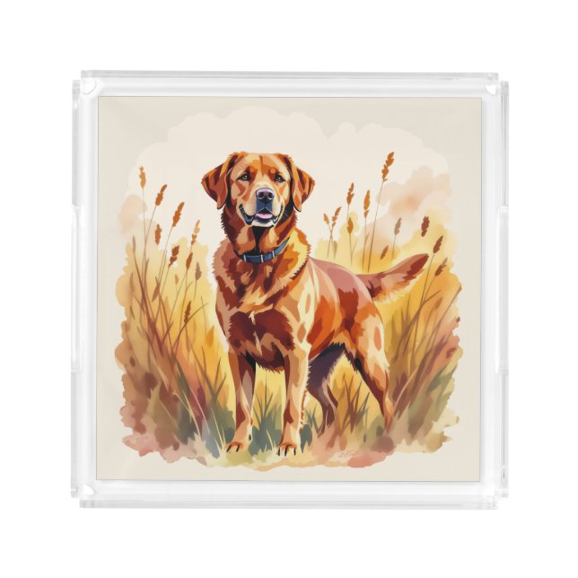 Fox Red Labrador Retriever Dog Acrylic Tray (Front)