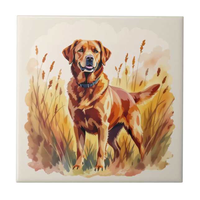 Fox Red Labrador Retriever Dog Ceramic Tile (Front)