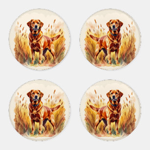 Fox Red Labrador Retriever Dog Coaster Set