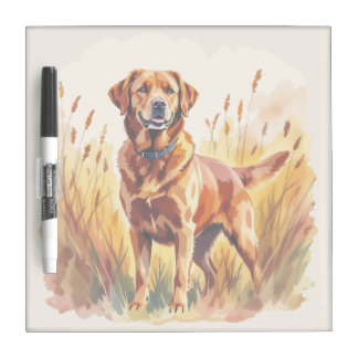 Fox Red Labrador Retriever Dog Dry Erase Board