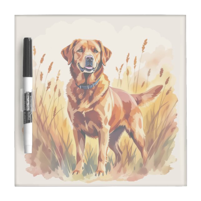 Fox Red Labrador Retriever Dog Dry Erase Board (Front)
