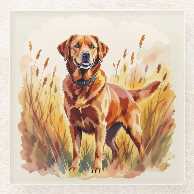 Fox Red Labrador Retriever Dog Glass Coaster (Front)