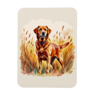 Fox Red Labrador Retriever Dog Magnet