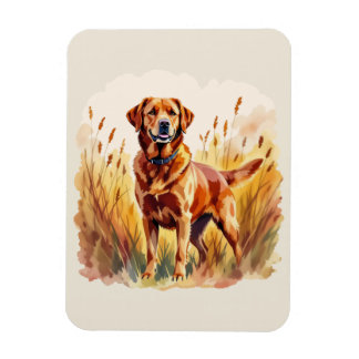 Fox Red Labrador Retriever Dog Magnet