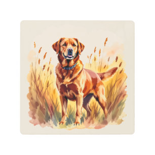 Fox Red Labrador Retriever Dog Metal Print