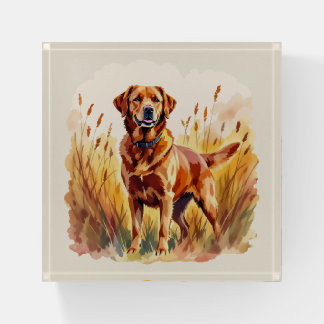 Fox Red Labrador Retriever Dog Paperweight